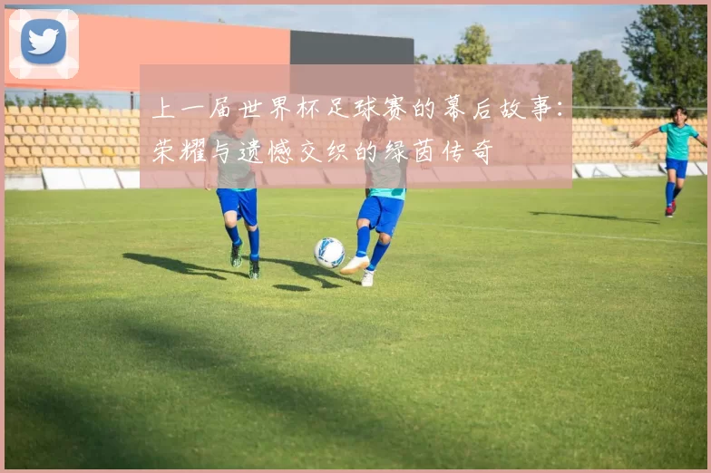 上一届世界杯足球赛的幕后故事：荣耀与遗憾交织的绿茵传奇