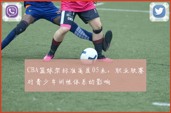 CBA篮球架标准高度05米,职业联赛对青少年训练体系的影响