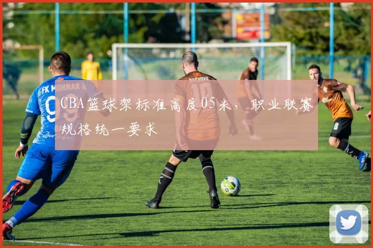 CBA篮球架标准高度05米,职业联赛规格统一要求