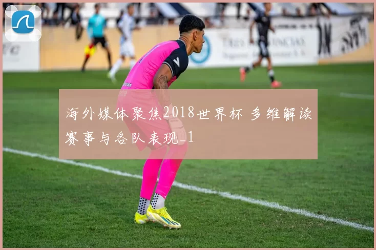 海外媒体聚焦2018世界杯 多维解读赛事与各队表现_1