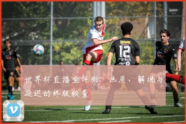 世界杯直播全评测:画质、解说与延迟的终极较量