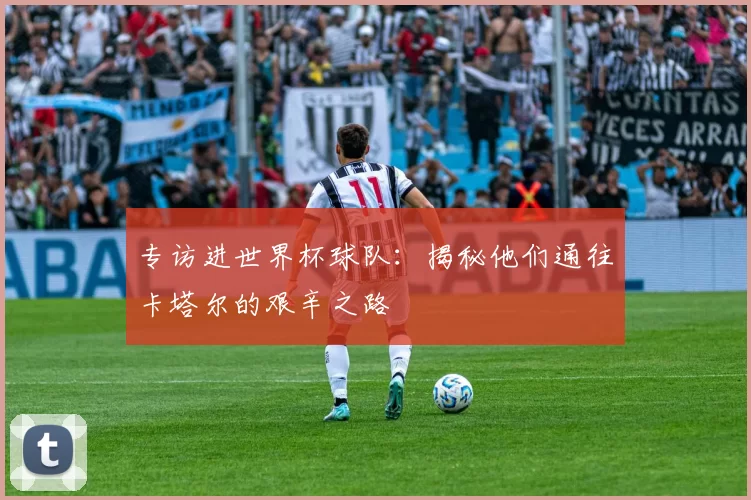 专访进世界杯球队：揭秘他们通往卡塔尔的艰辛之路