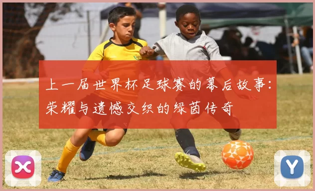 上一届世界杯足球赛的幕后故事:荣耀与遗憾交织的绿茵传奇